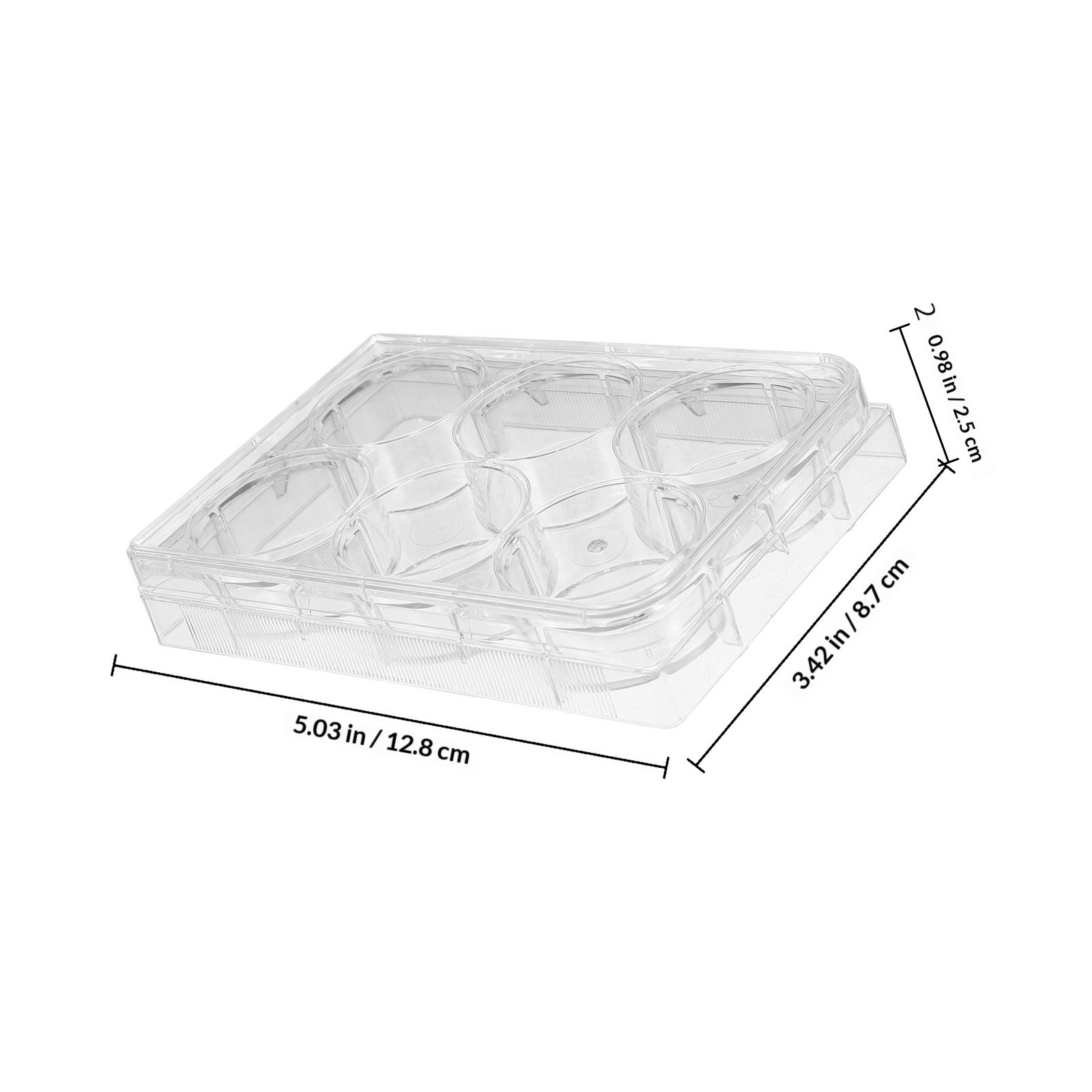 조직 배양 플레이트, 6개의 배양 구멍, 견고한 구조, - Lab Equipment 리뷰 및 가격